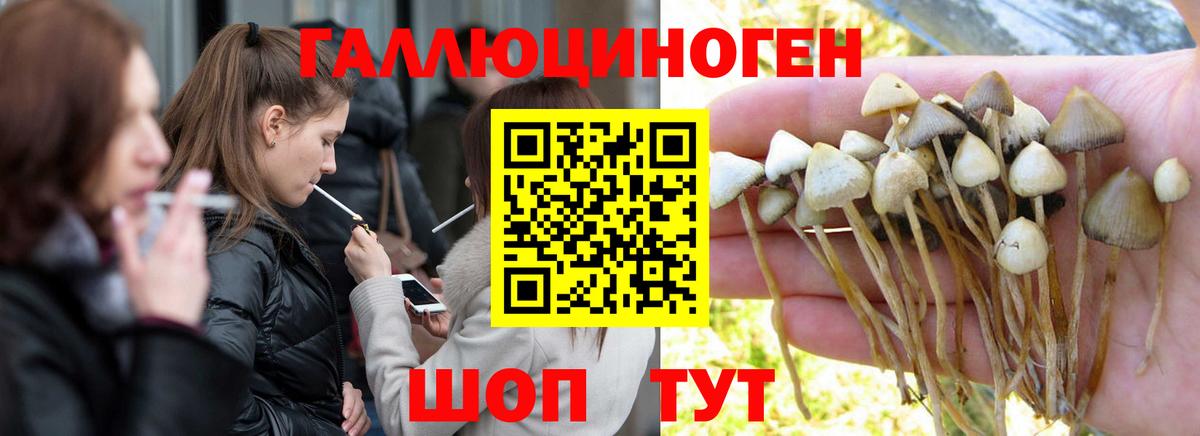 Кулебаки  Галлюциногенные грибы мицелий  цена   Вход с VPN 