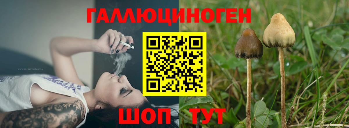 Псилоцибиновые грибы мухоморы Кулебаки